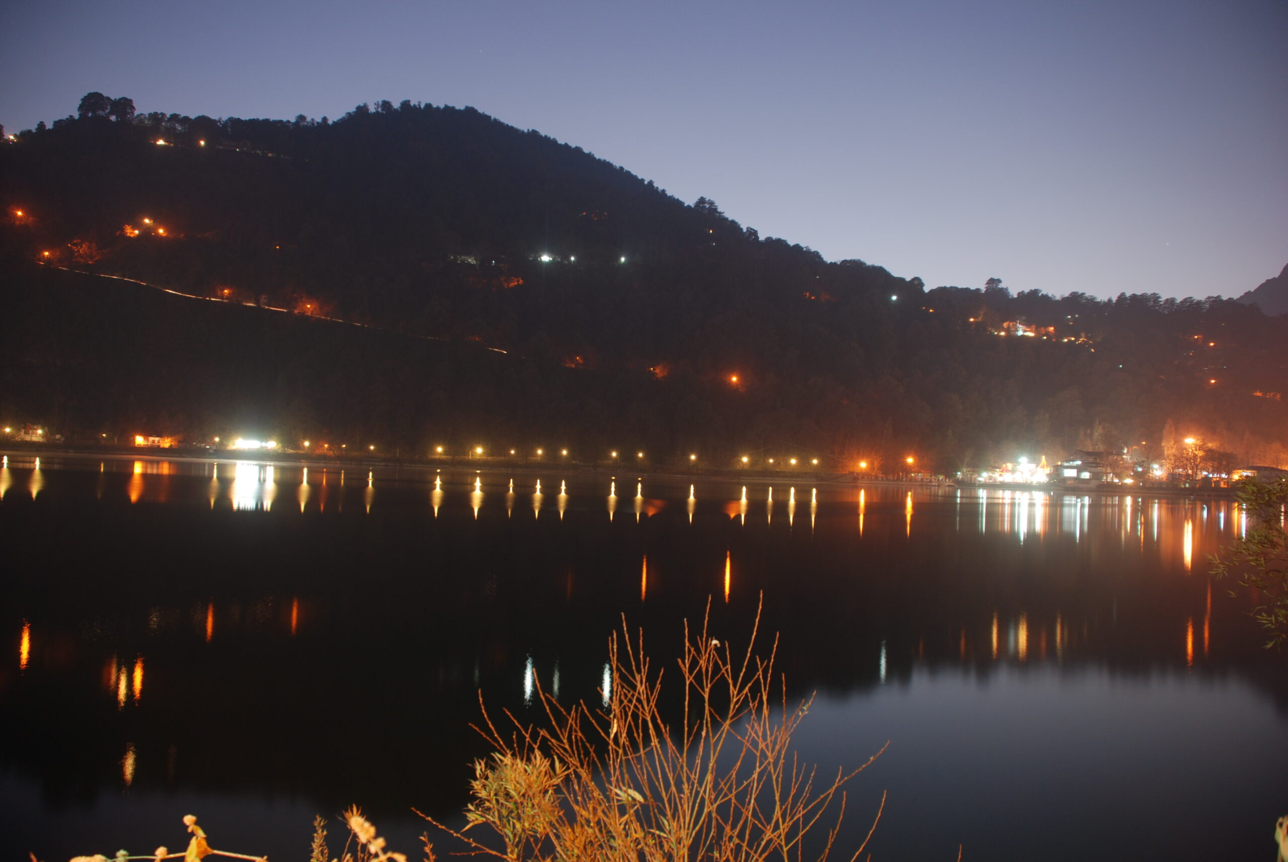 DSC_0711 (1)